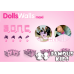 Casuta papusi DollsWalls Maxi 66